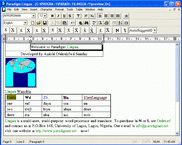 Paradigm Lingua MultiUser