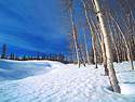 Winter Scenes <b>Screensaver</b>